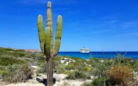 Cruise ship docked at the port of La Paz, Mexico